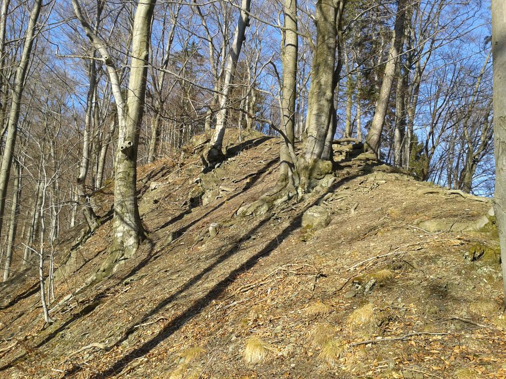 Wellness Pension Iveta Žacléř Extérieur photo