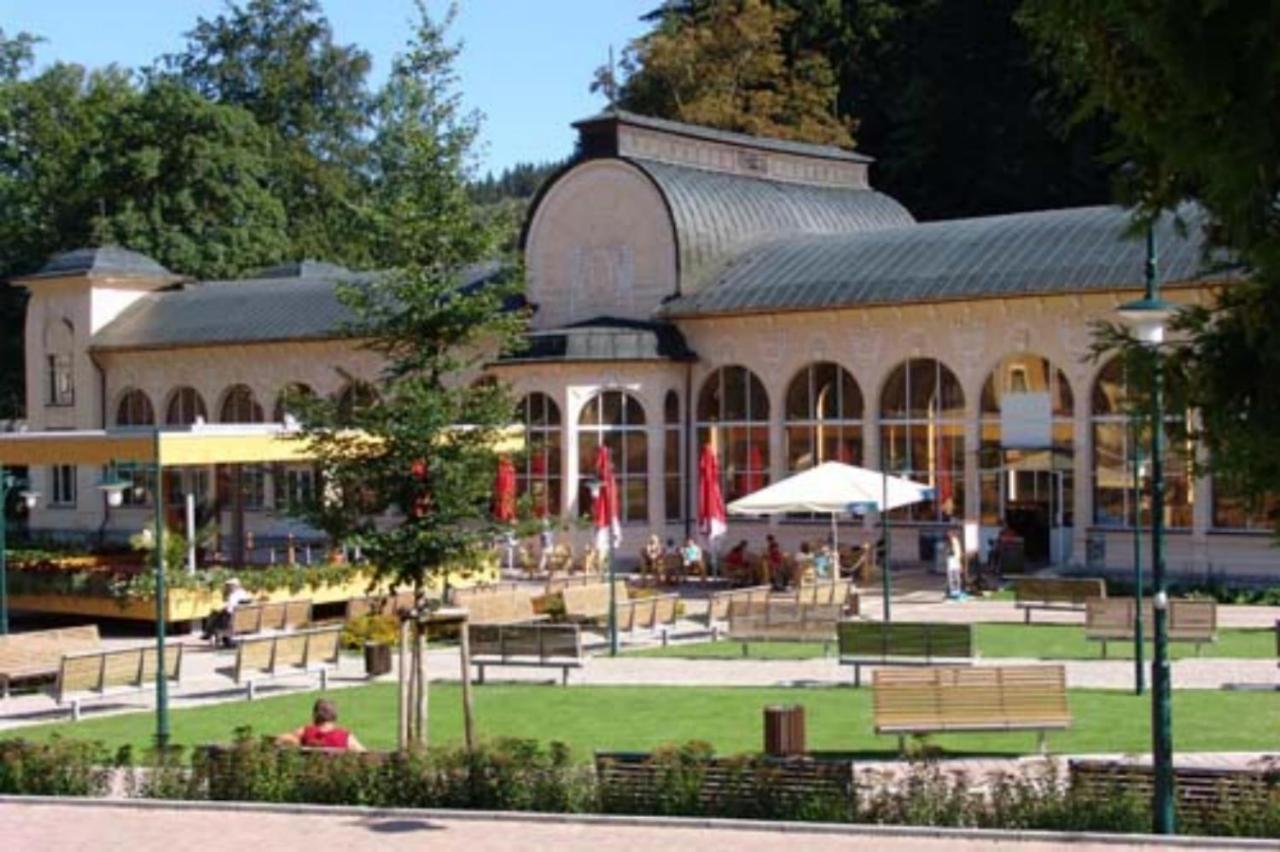 Wellness Pension Iveta Žacléř Extérieur photo
