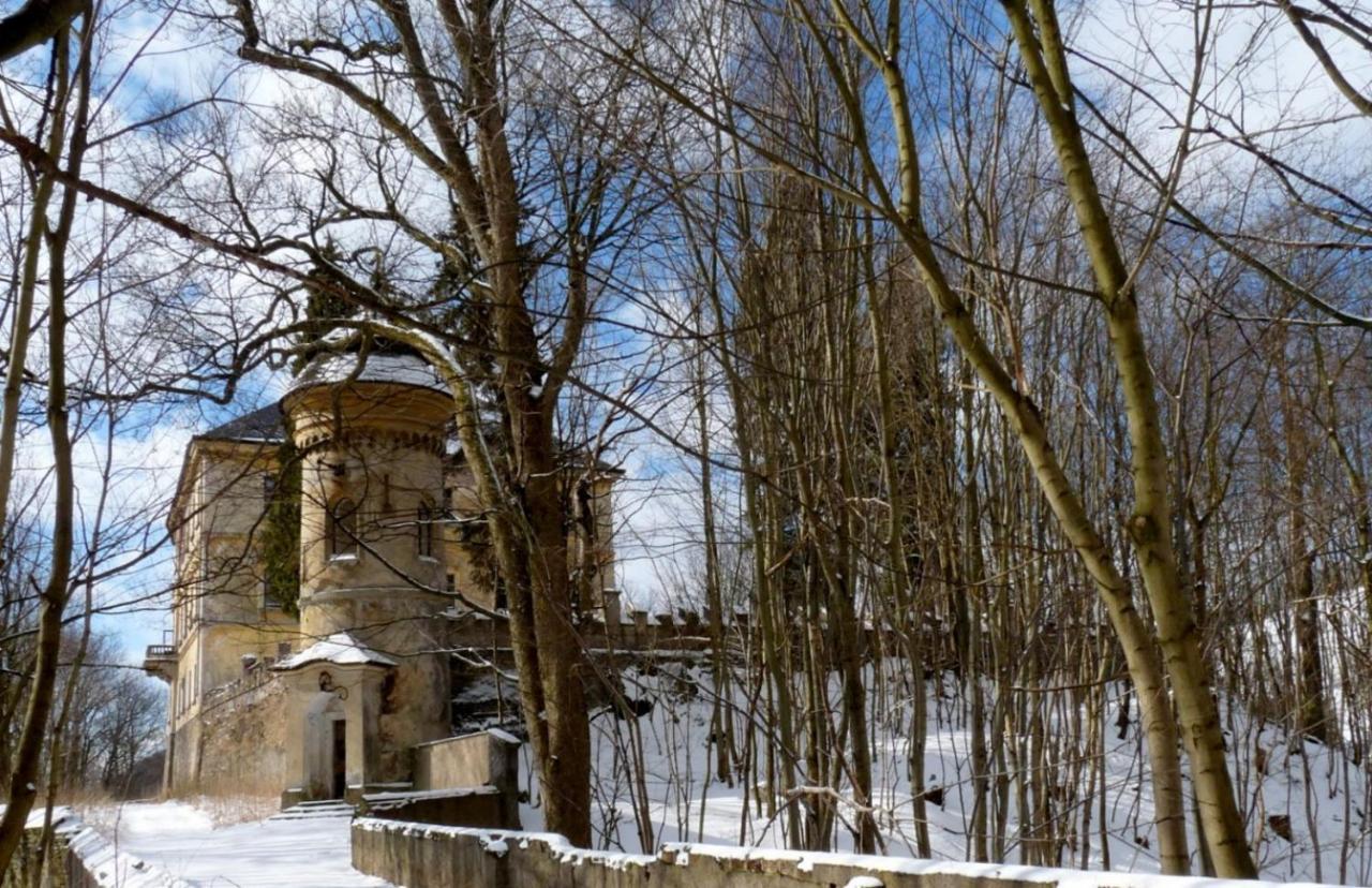 Wellness Pension Iveta Žacléř Extérieur photo